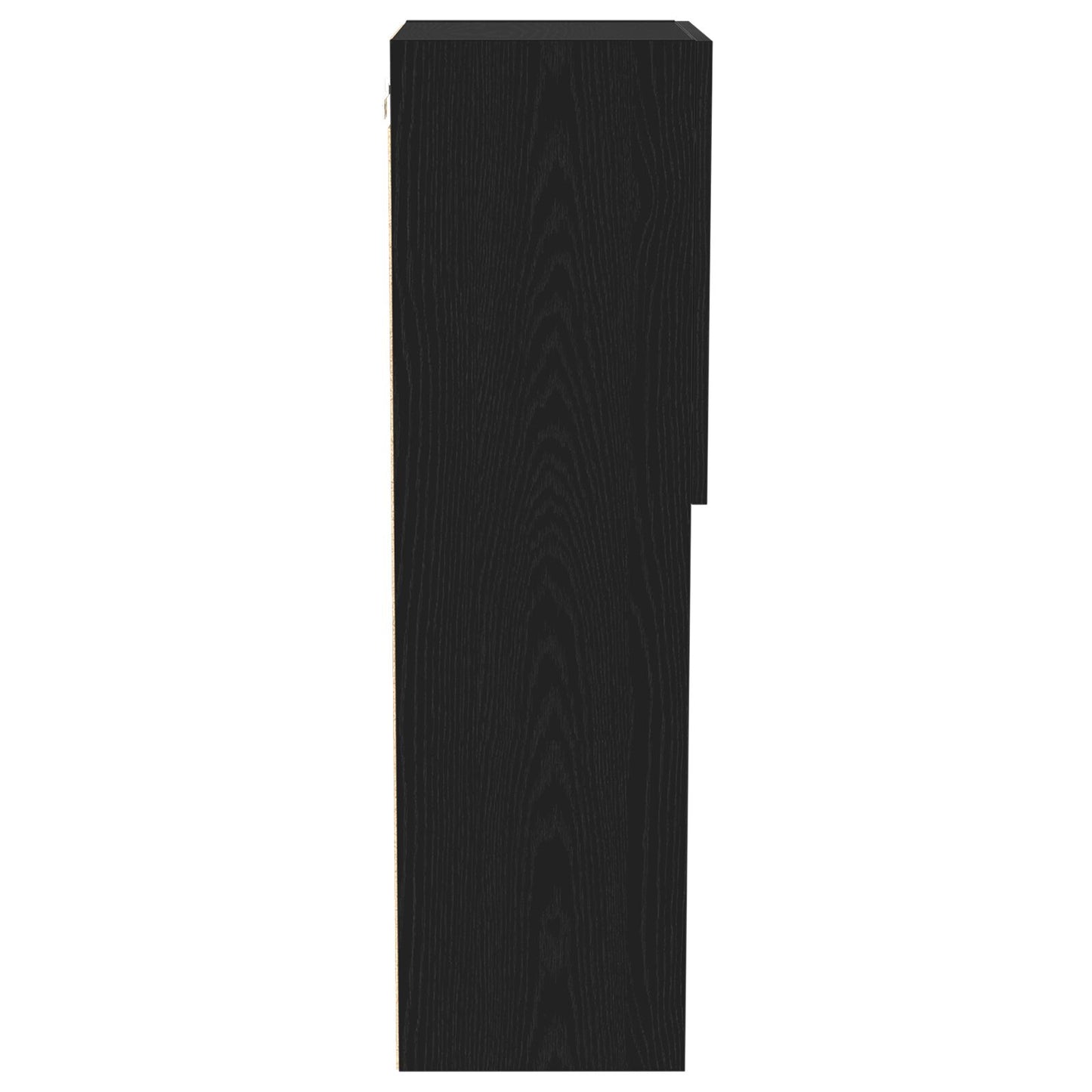 vidaXL TV-Schrank mit LED-Leuchten Schwarz Eiche 40,5x30x102 cm